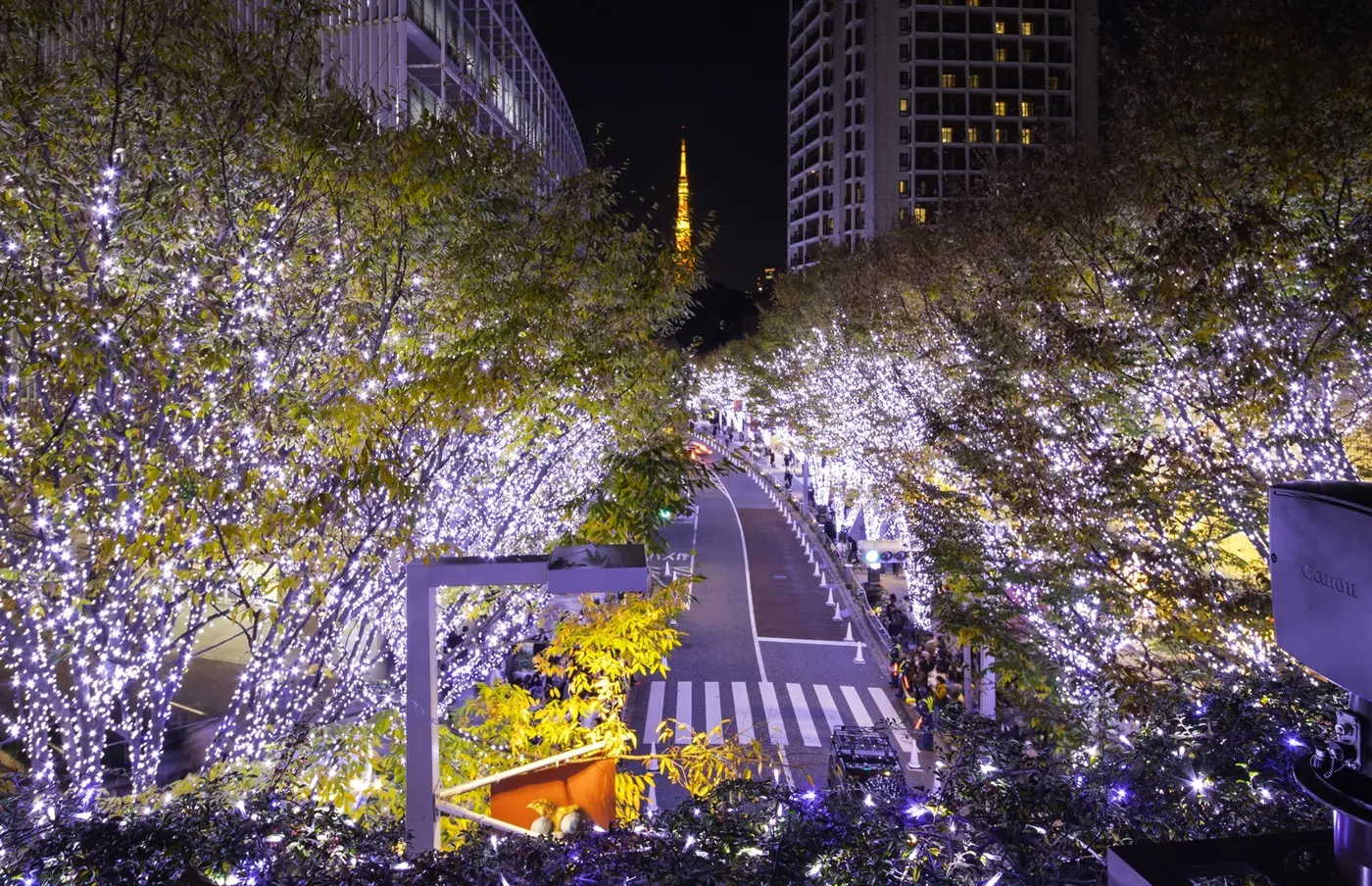 The Keyakizaka slope at Roppongi Hills, blue LEDs running down towards Tokyo Tower